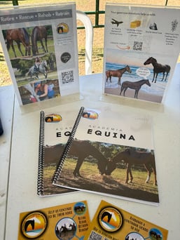 equine academy 2