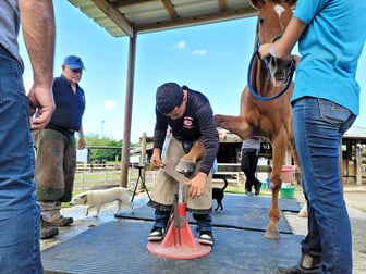 farrier 2 steve kraus