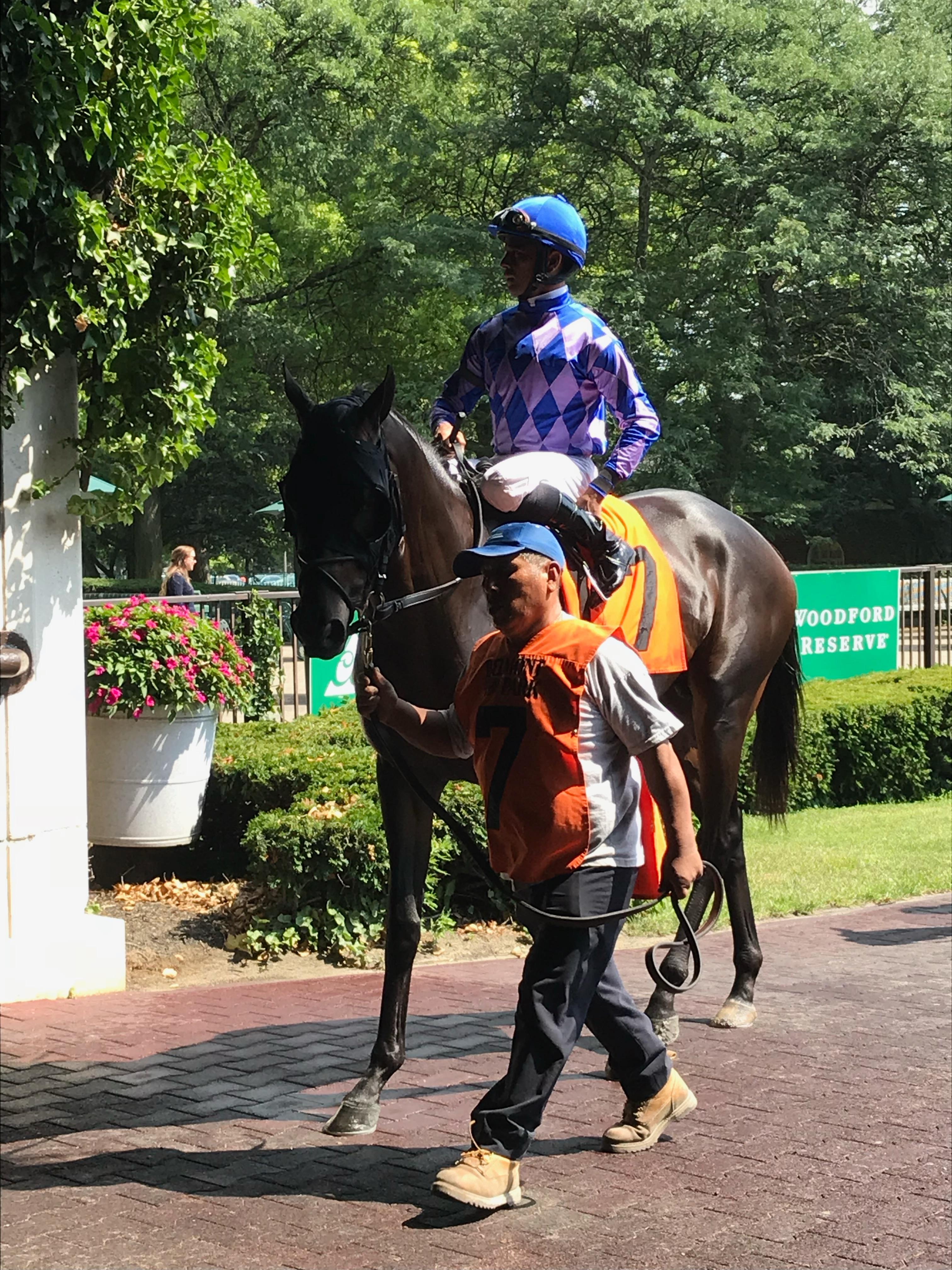 Congruity gets home with the generous help of C2 Racing Stables